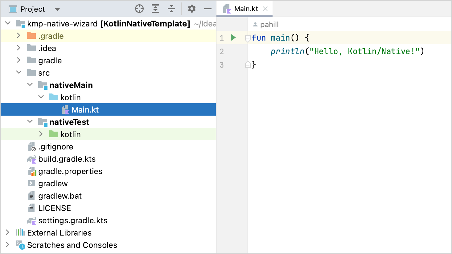 Native application project structure